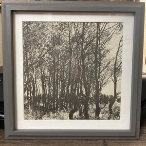 Grey Target Picture